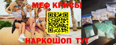 стаф Гатчина
