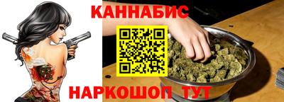 стаф Гатчина