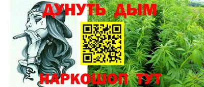 стаф Гатчина