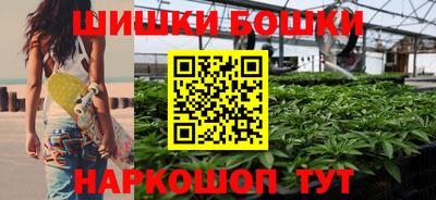 стаф Гатчина