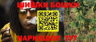 стаф Гатчина