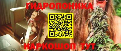 стаф Гатчина