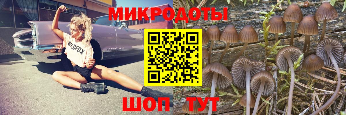Галлюциногенные грибы GOLDEN TEACHER Волоколамск