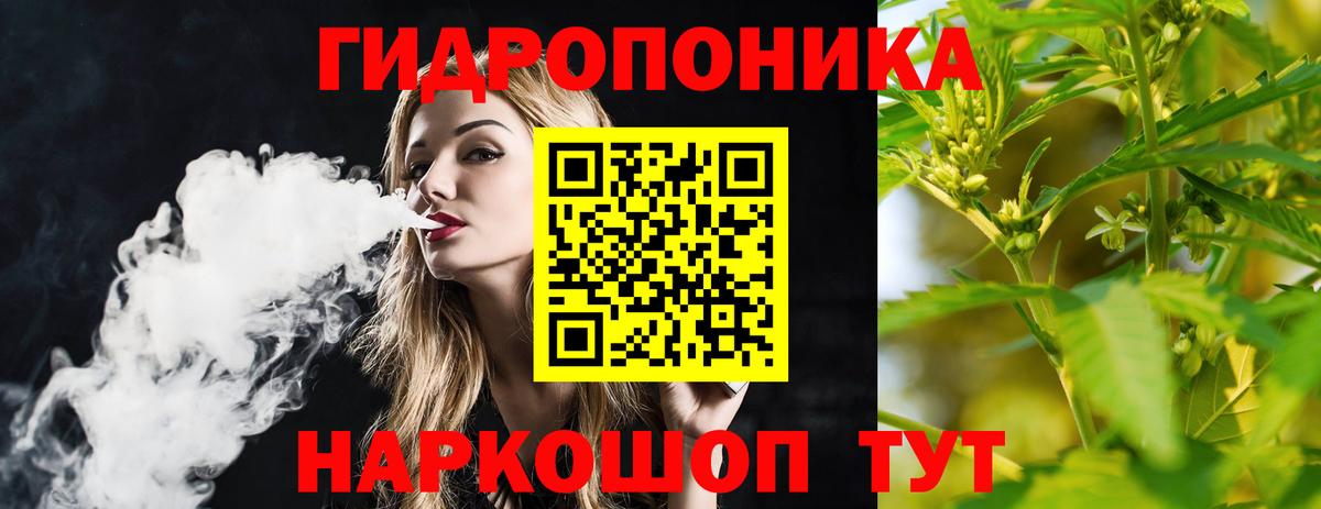 Конопля гибрид Волоколамск